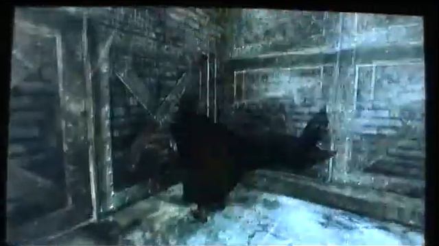 Batman Arkham Asylum Gameplay Part 28