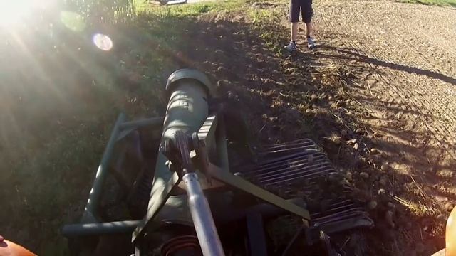 Kartoffeln-Roden2016 Steyr 28{Moareida Agrar}