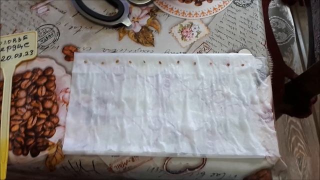 Vlog/Мстю Озону/ Рассада..чем поливаю/Готовлю вкуснющий паштет из куриной печени... смотреть онлайн