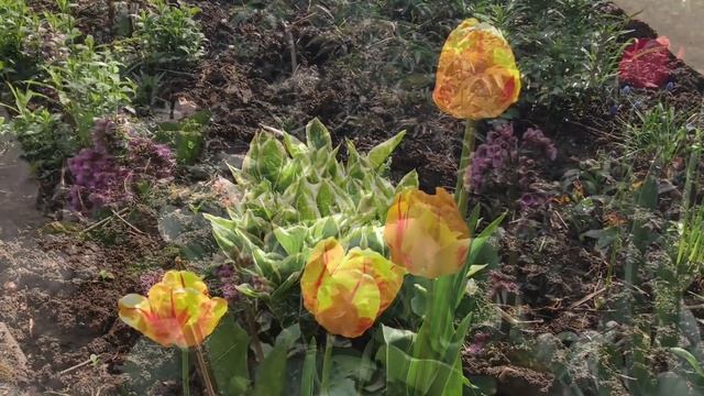 Весна .3 минуты весны .