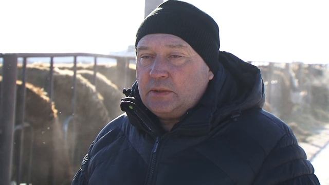 «Агрономика». Мясное скотоводство (1.02.2017) смотреть онлайн