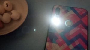 Проверка яиц попугаев неразлучников на оплод / Просвечивание / Будут птенцы!