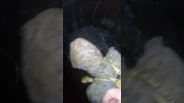 чистка выгребной ямы. смотреть онлайн