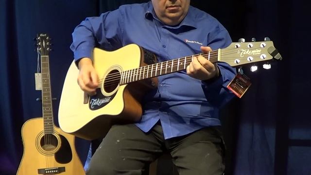 Takamine D Series Acoustic Guitar