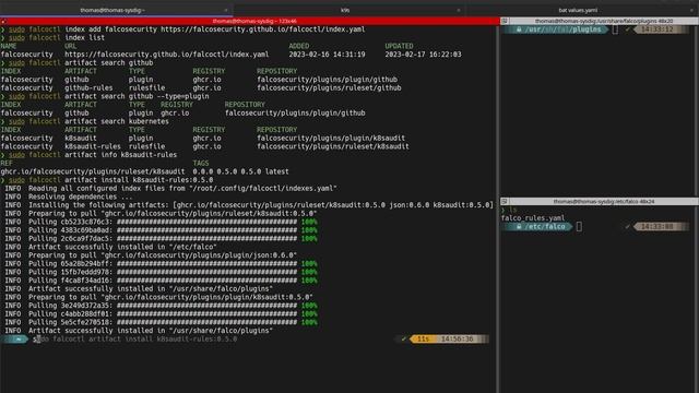 Falcoctl: easy management of the lifecycle of your rules and plugins for Falco смотреть онлайн