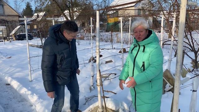 ГОТОВИМ ВИНОГРАД К БОЛЬШИМ МОРОЗАМ [дача в радость] смотреть онлайн