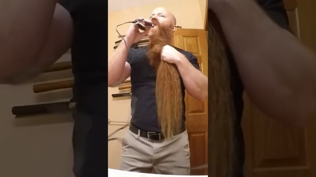 Ai tem coragem hein ? #shortsvideo #shortvideo #shortsfeed #shorts смотреть онлайн