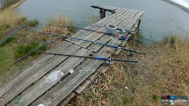 Карп. Карповая рыбалка. Апрель, весна! Клев с Ветерком! смотреть онлайн