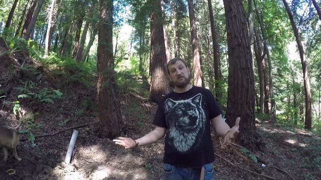 Закапывание под землю. Зачем люди делают погребение в живую? смотреть онлайн