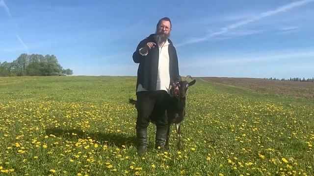 Эксклюзив от Германа Стерлинга – БИРЖА КОЗ в Слободе. смотреть онлайн