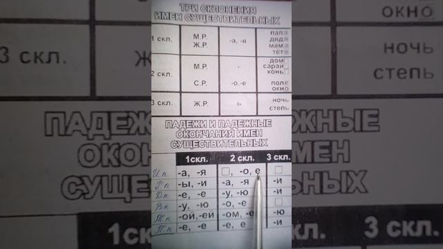 Три склонения имён существительных.Падежные окончания существительных. смотреть онлайн