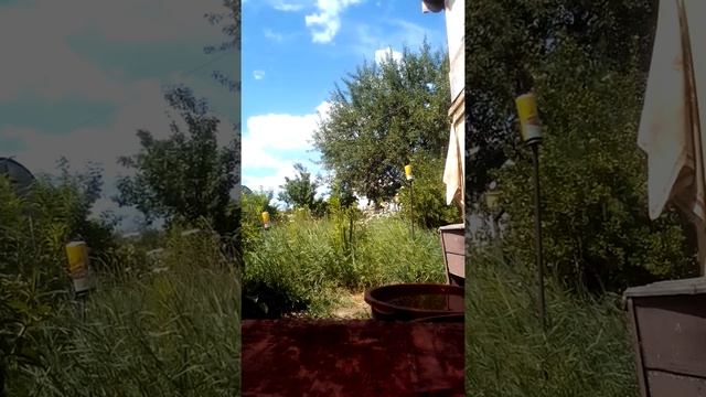 Дача, обзор. БОРЬБА ЗА УРОЖАЙ. РОК-МУЗЫКА на даче ЧЕРНЫЙ КОФЕ, ПУРГЕН, САБАТАН, РАМШТАЙН, МЕТАЛЛИКА смотреть онлайн