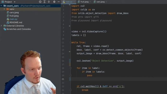 Object Detection using OpenCV Python in 15 Minutes! Coding Tutorial #python #beginners смотреть онлайн