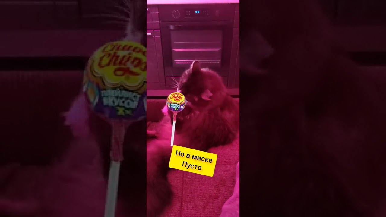 Когда хочешь сладенького смотреть онлайн