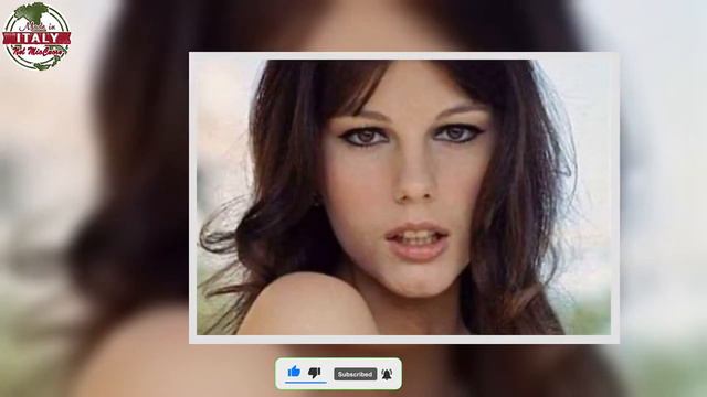 Stefania Sandrelli, ecco il suo grande amante famoso più di lei смотреть онлайн