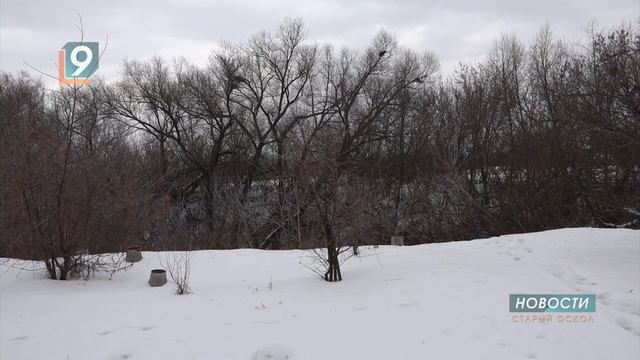 Новые правила для дачников начнут действовать в России с 1 марта смотреть онлайн