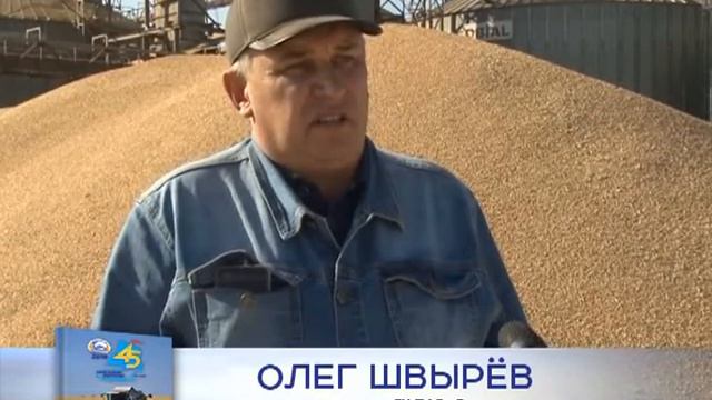 Белореченское 2020 смотреть онлайн