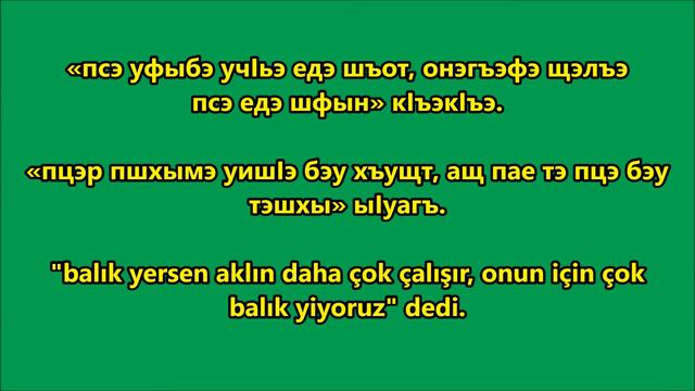 Убыхыбзэ тхыдэжъ горэ / Ubıhça bir hikaye смотреть онлайн