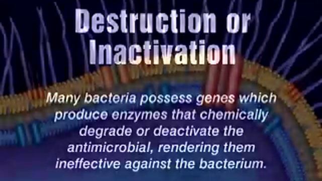 Russian Translation - Animation of Antimicrobial Resistance смотреть онлайн