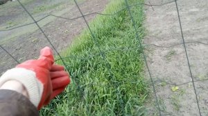 Выравнивание сварной сетки забора