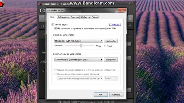 как включить запись звука на бандикам bandicam смотреть онлайн