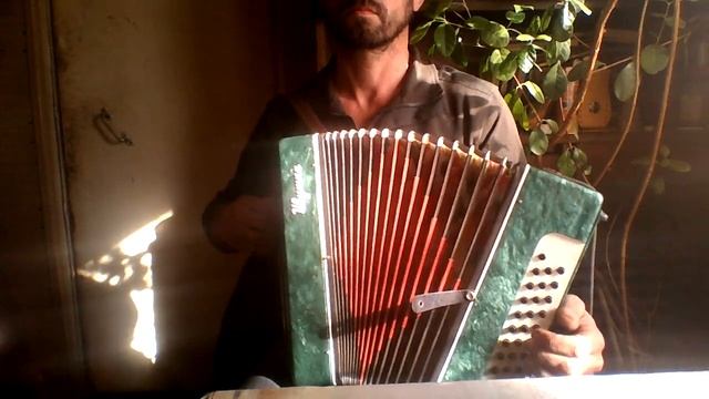 Червона рута. Разбор. Гармонь. 2я тональность. смотреть онлайн