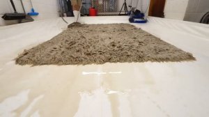 страшная история + чистка ковров