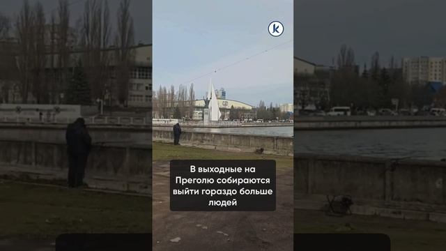 В центре Калининграда в Преголе появилась корюшка смотреть онлайн