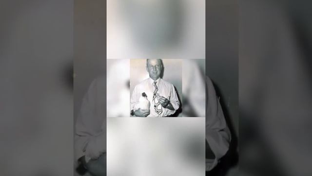 Этот петух жил без Головы смотреть онлайн