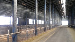 Орошение в коровнике