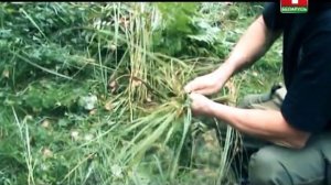 МЫ СПЕЦНАЗ: группа Альфа