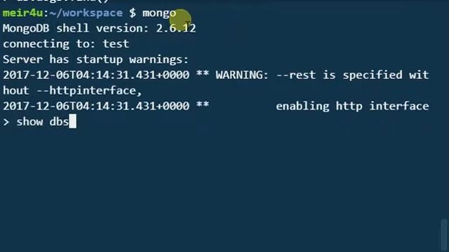 Mongo Shell Basics - "Show Database Names" смотреть онлайн