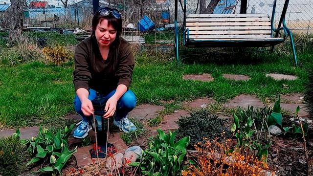 КЛУМБА С ХВОЙНЫМИ И РОЗОЙ? КАК СДЕЛАТЬ КЛУМБУ КРАСИВОЙ в любое время года смотреть онлайн