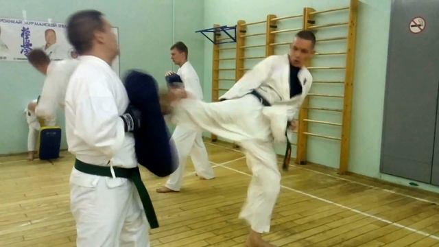 Остановиливаю Мае-гери тюдан, добавляею с прыжочка молниеносный Усиро-гери в печень. Виталик Бабенк смотреть онлайн