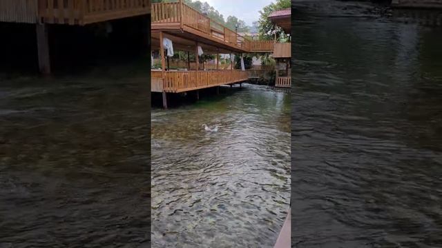 Каньон Кёпрюлю Отель на воде смотреть онлайн