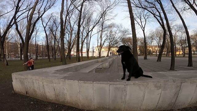 НАШЛИ БМХ И НЕ ЗНАЕМ ЧТО С НИМ ДЕЛАТЬ... смотреть онлайн