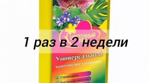 Почему желтеет лист у гортензии?