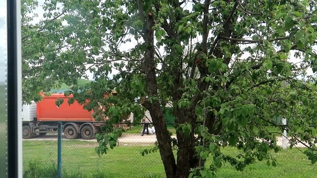 ТУР ПО ОГОРОДУ И РАСПАКОВКА ПОДАРКА ? КНИЖНЫЕ ВЫХОДНЫЕ В ДЕРЕВНЕ смотреть онлайн
