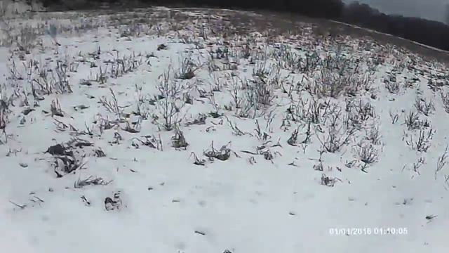 Следы зайца в поисках косого где искать смотреть онлайн