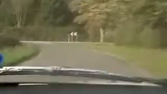 [OLD FEOC-UK.com VIDS SERIES] 