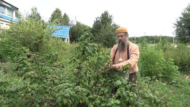 Глухие или враги?