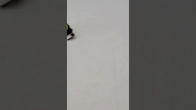 СОРОЧАНЫ ,МОСКВА,2021|ОТРЫВ БАШКИ