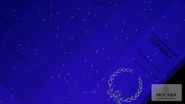 Академическая справка смотреть онлайн