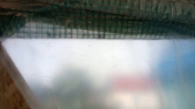 Закончили строительство теплички,ура! смотреть онлайн