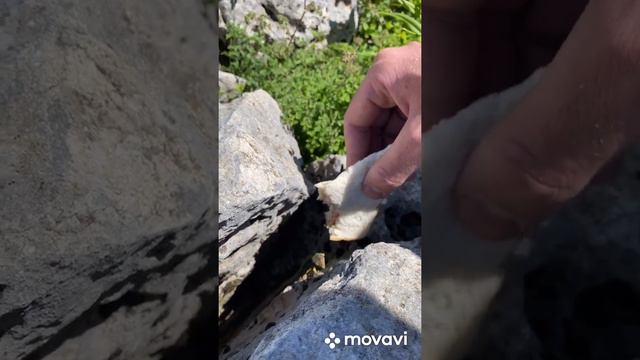 Нагой кош каменное море смотреть онлайн