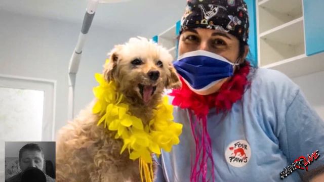 Многие месяцы она скиталась по улицам, люди ее обижали и прогоняли! смотреть онлайн