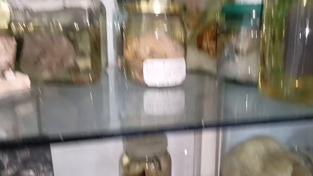 Музей патологоанатомического бюро смотреть онлайн