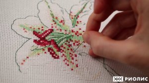 Вышивка блэкворк 1915 «Белые лилии». Мастер-класс по новинке РИОЛИС