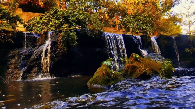 Mesmerizing Waterfalls Hidden in the Enchanting Green Forest with Soothing Bird Sounds смотреть онлайн