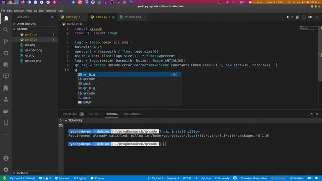 How to Generate Branded QR Code with Python | Python Application Tutorial 4 смотреть онлайн